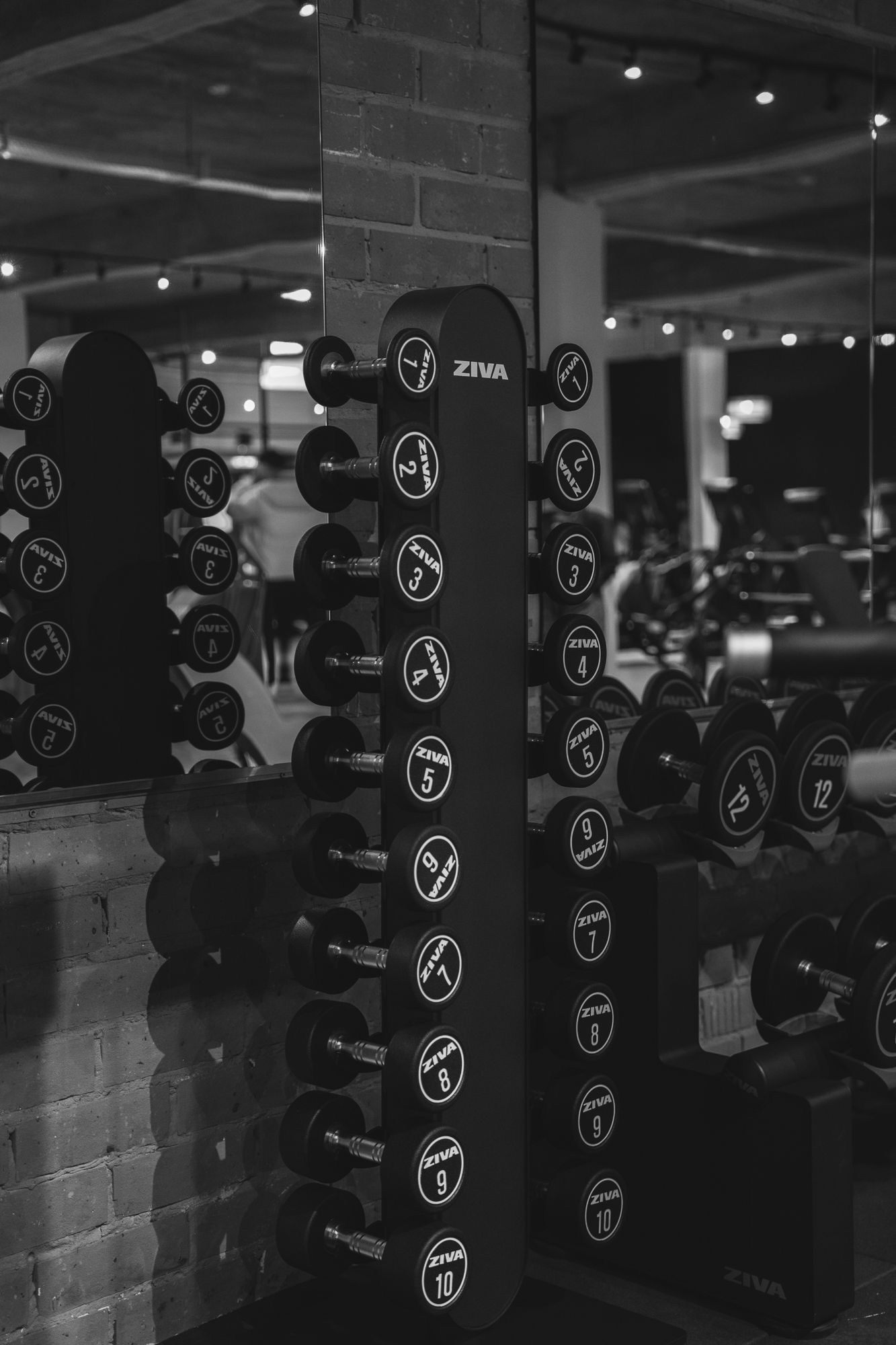 Een rek met dumbbells